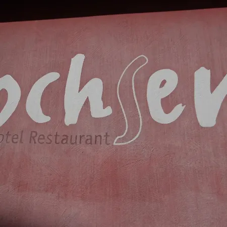 ホテル Ochsen 3*